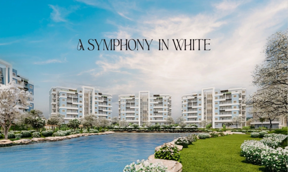 Rock White gallery image